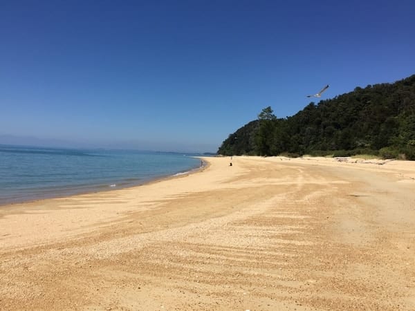 Golden Beaches Of The Abel Tasman