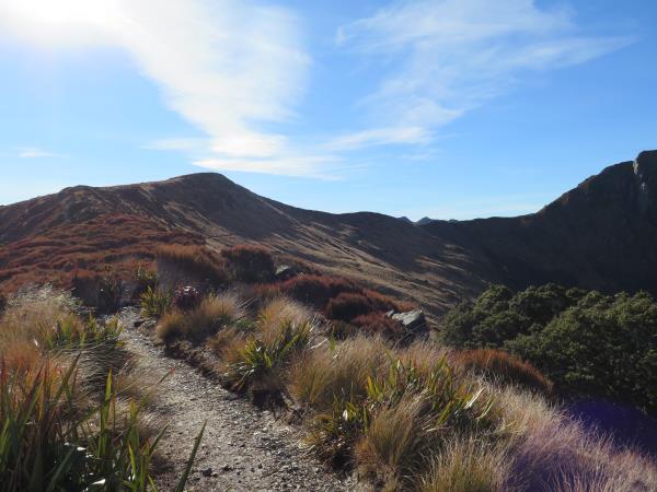 On The Tussock Tops