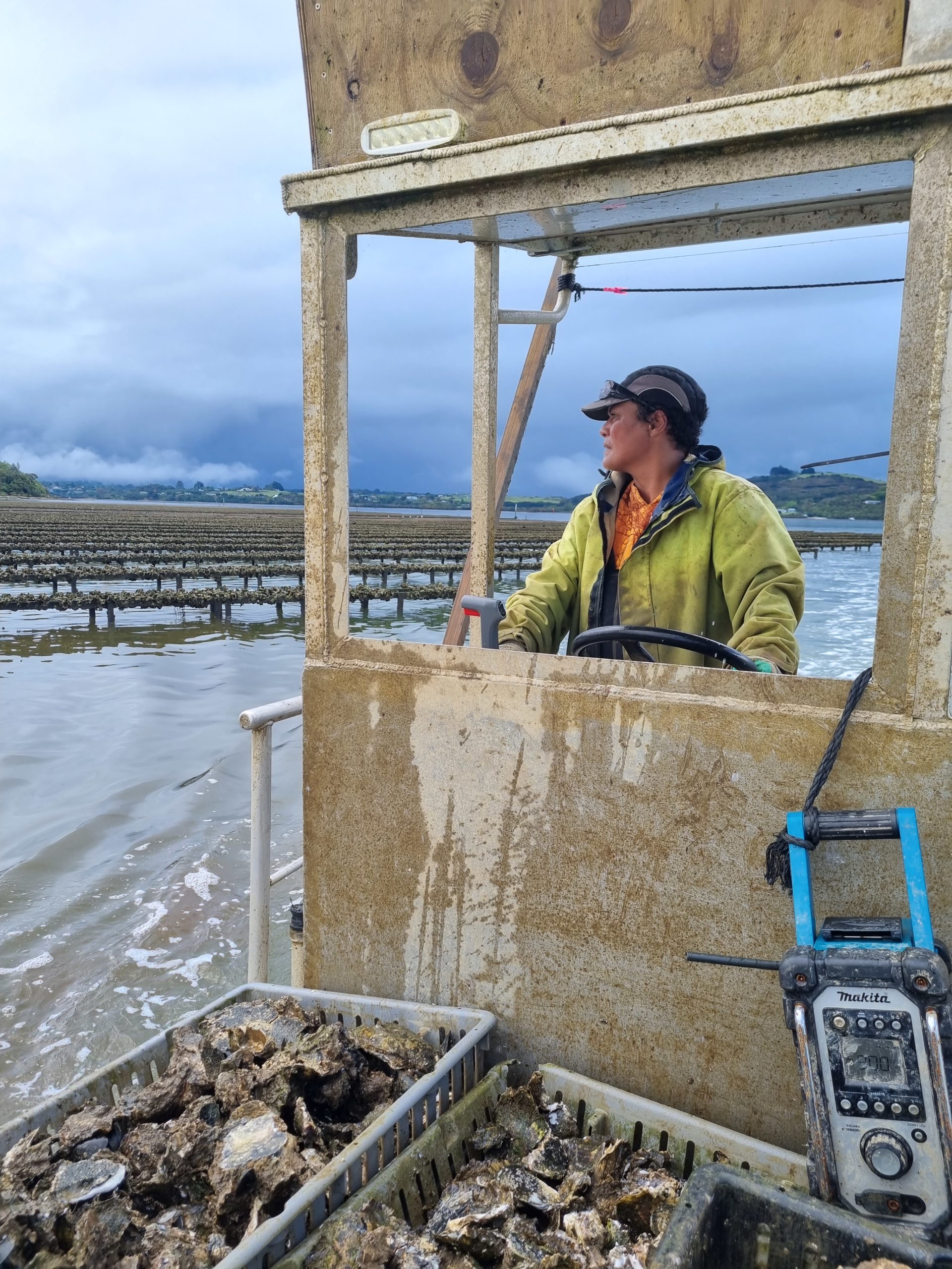 Terissa skippering an oyster barge
