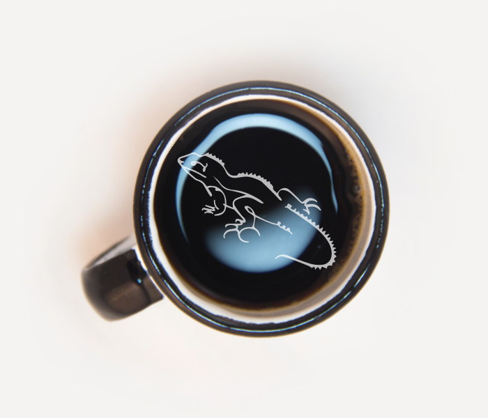coffee-with-tuatara-logo-icon_700x600
