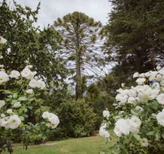 Pihopa Retreat Garden