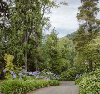 Pihopa Retreat Garden