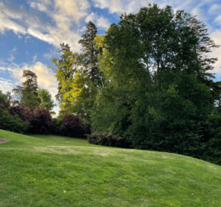 Pihopa Retreat Wedding Garden