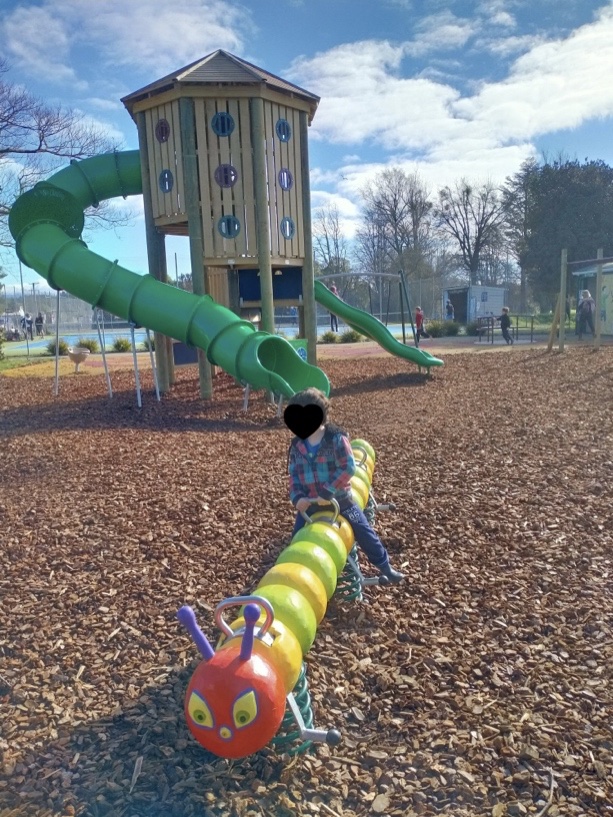 Mapua Domain caterpillar