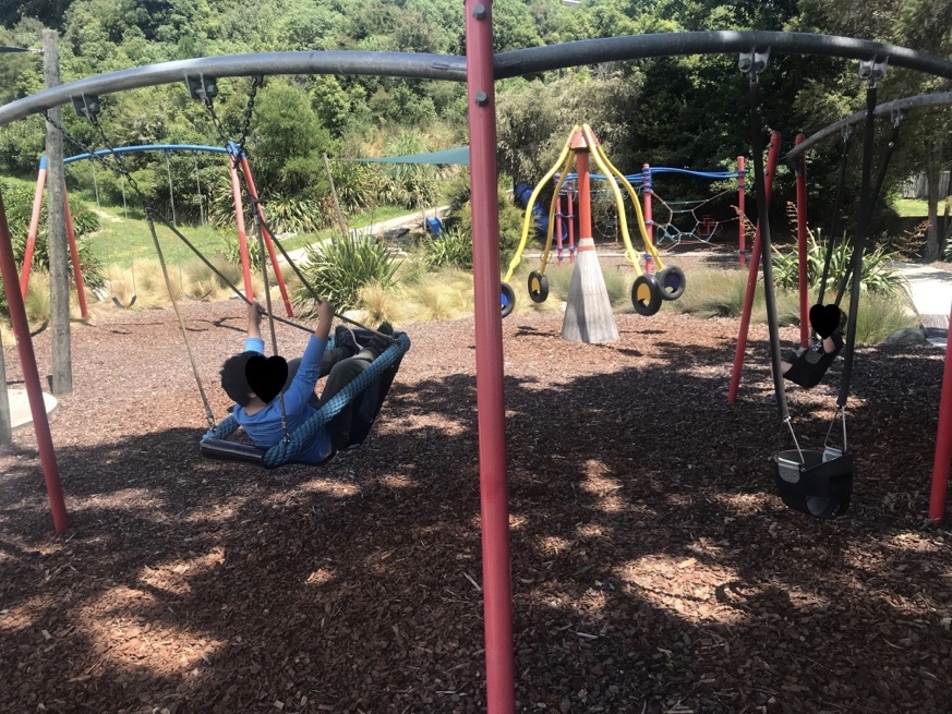 Murphy North Reserve play equipment
