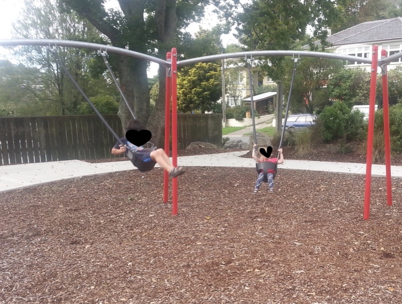 Murphy North Reserve swings