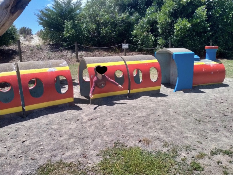 Tahuna playground train