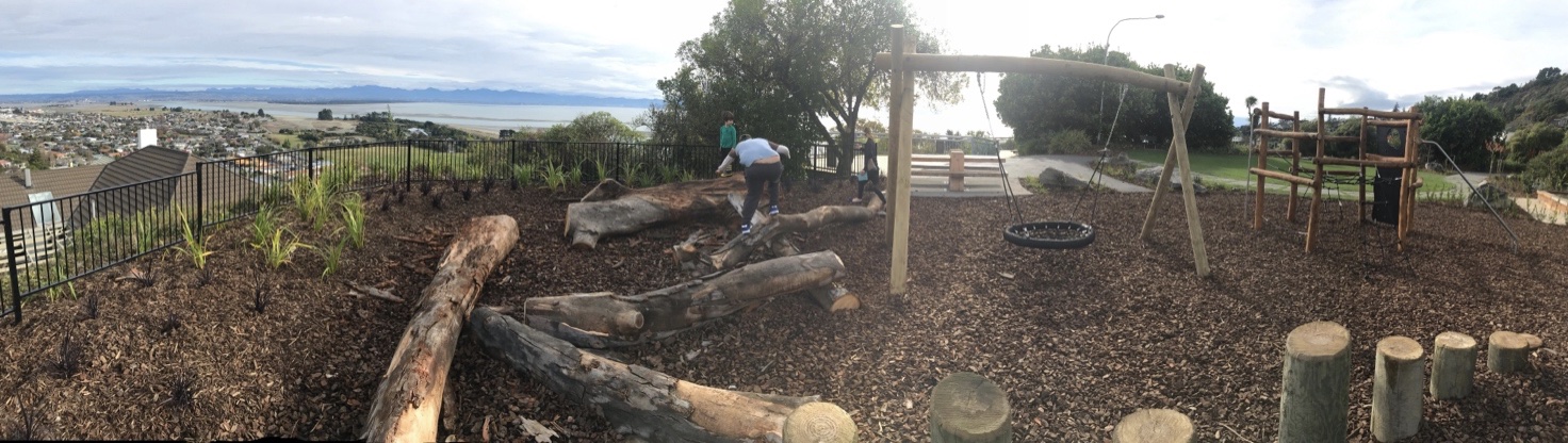 paddys knobb playground and view