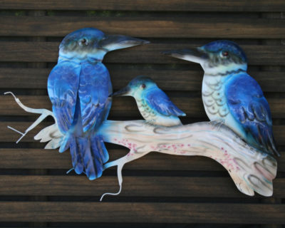 Kingfisher Family