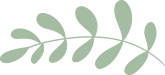 nature-divider_75