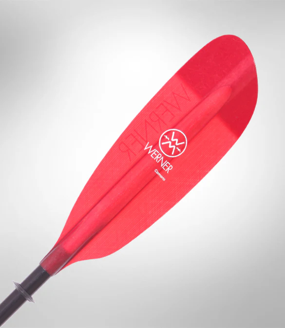 Werner Camano Straight Shaft - Image 3
