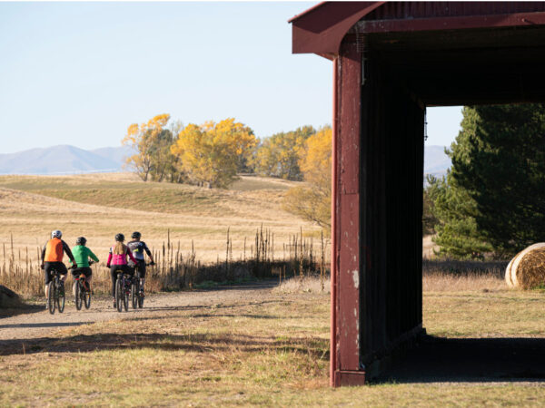 Enjoy the Otago Central Rail Trail with friends and family in stunning scenery.