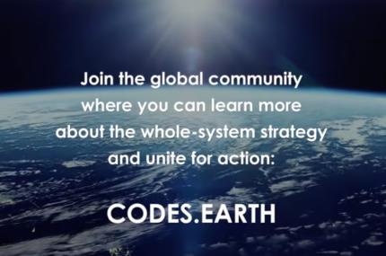 Codes For A Healthy Earth
