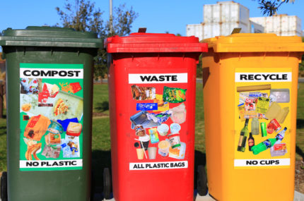 Nelson City And Tasman District Councils Joint Waste Minimisation Plan Review