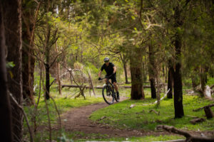 Man riding through forest on mountain bike