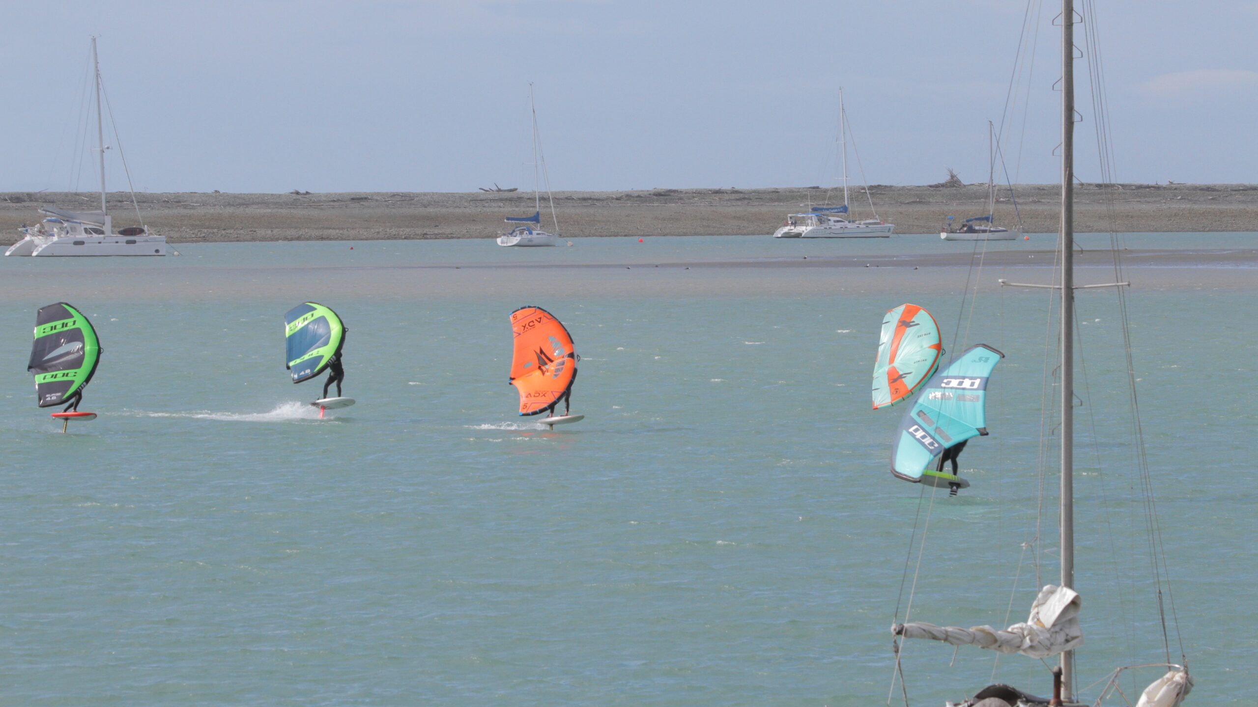Wingfoil racing in Nelson Harbour on Fridays