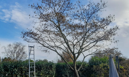 small-1982 small-1982