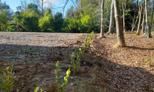 small-2529 small-2529