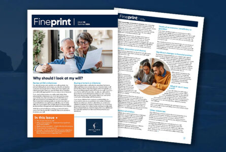 Fineprint Summer Issue 95 Legal Newsletter