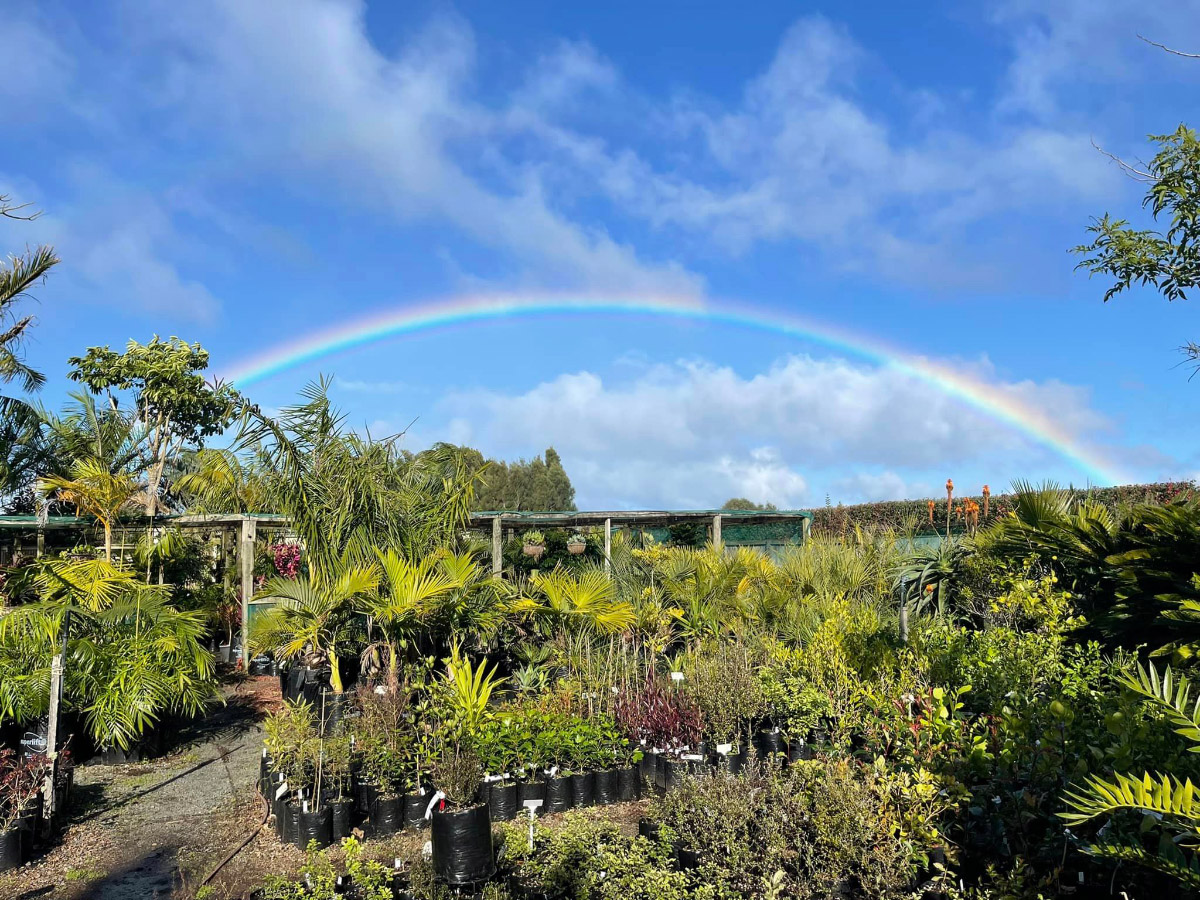 Bream-Bay-Greenworld-About-Us-Image-1