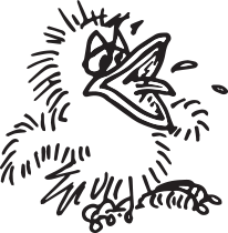 Chick-Character-210w