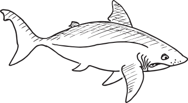 Shark-Character-210h