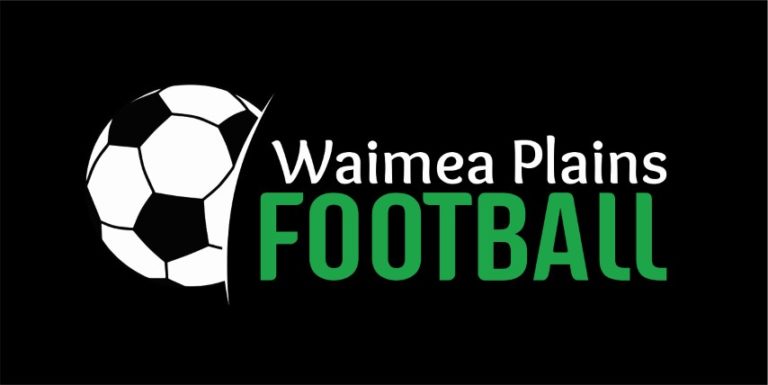 Logo colour Small 768x385