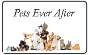 Pets Ever after 1 300x189