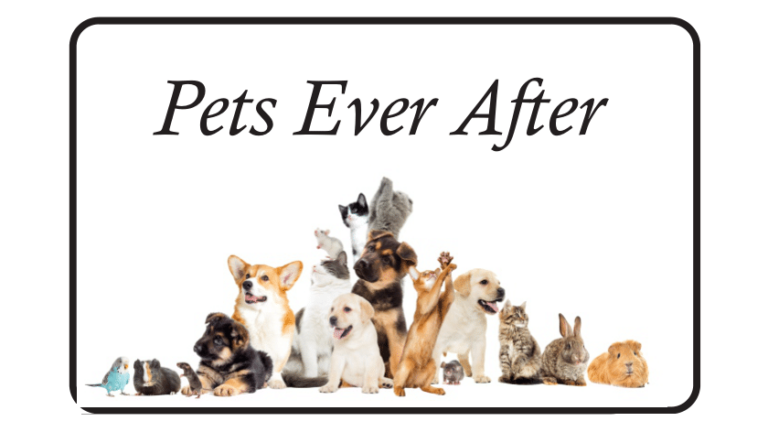 Pets ever after photo 768x432