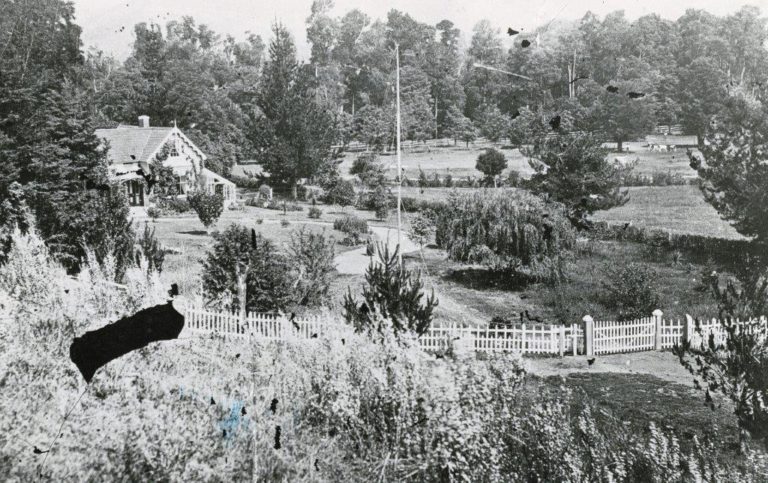 Historic Photos folks enjoying the Reserves 41 768x483