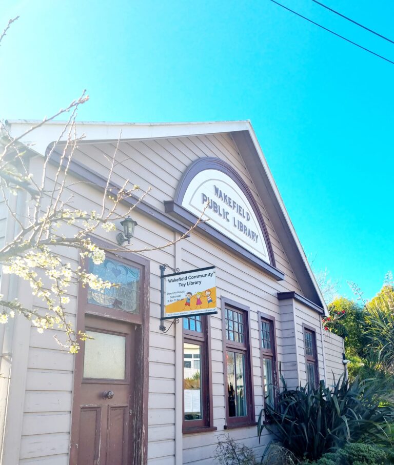 Toy Library 1 768x907