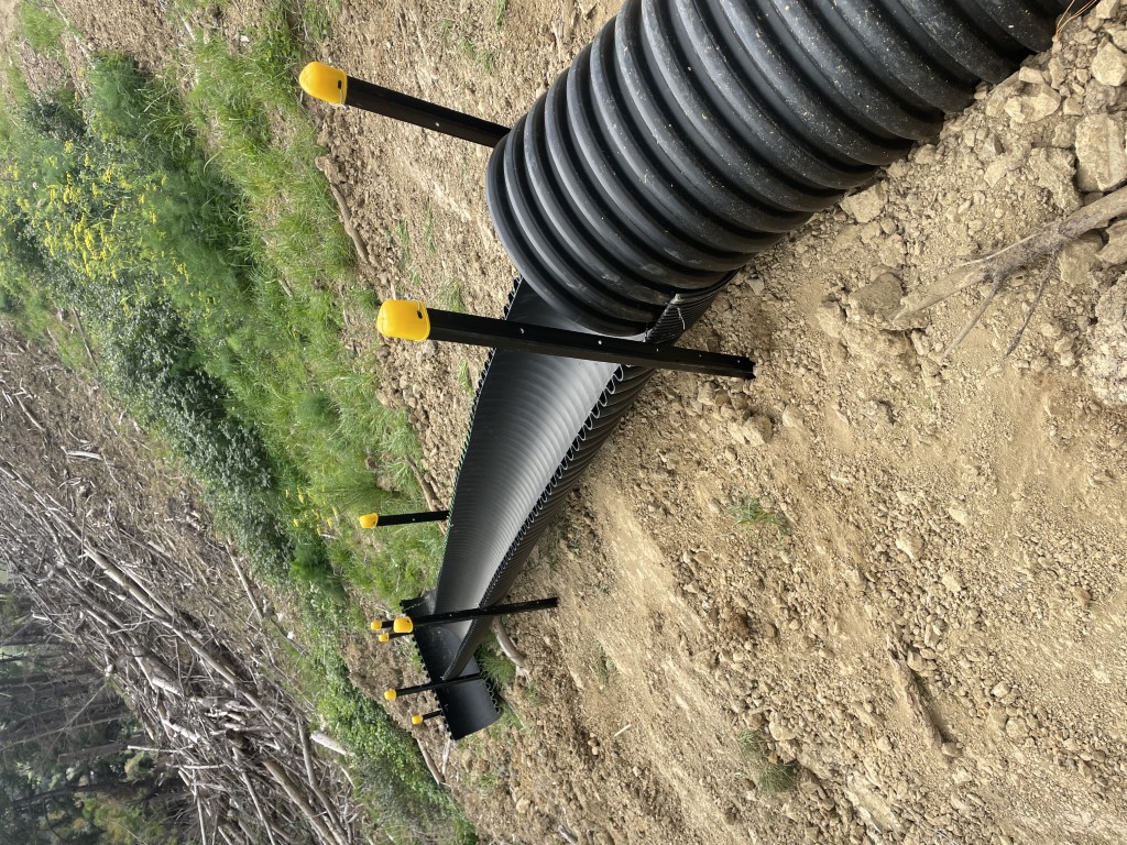 IMG 1345 Copy Medium