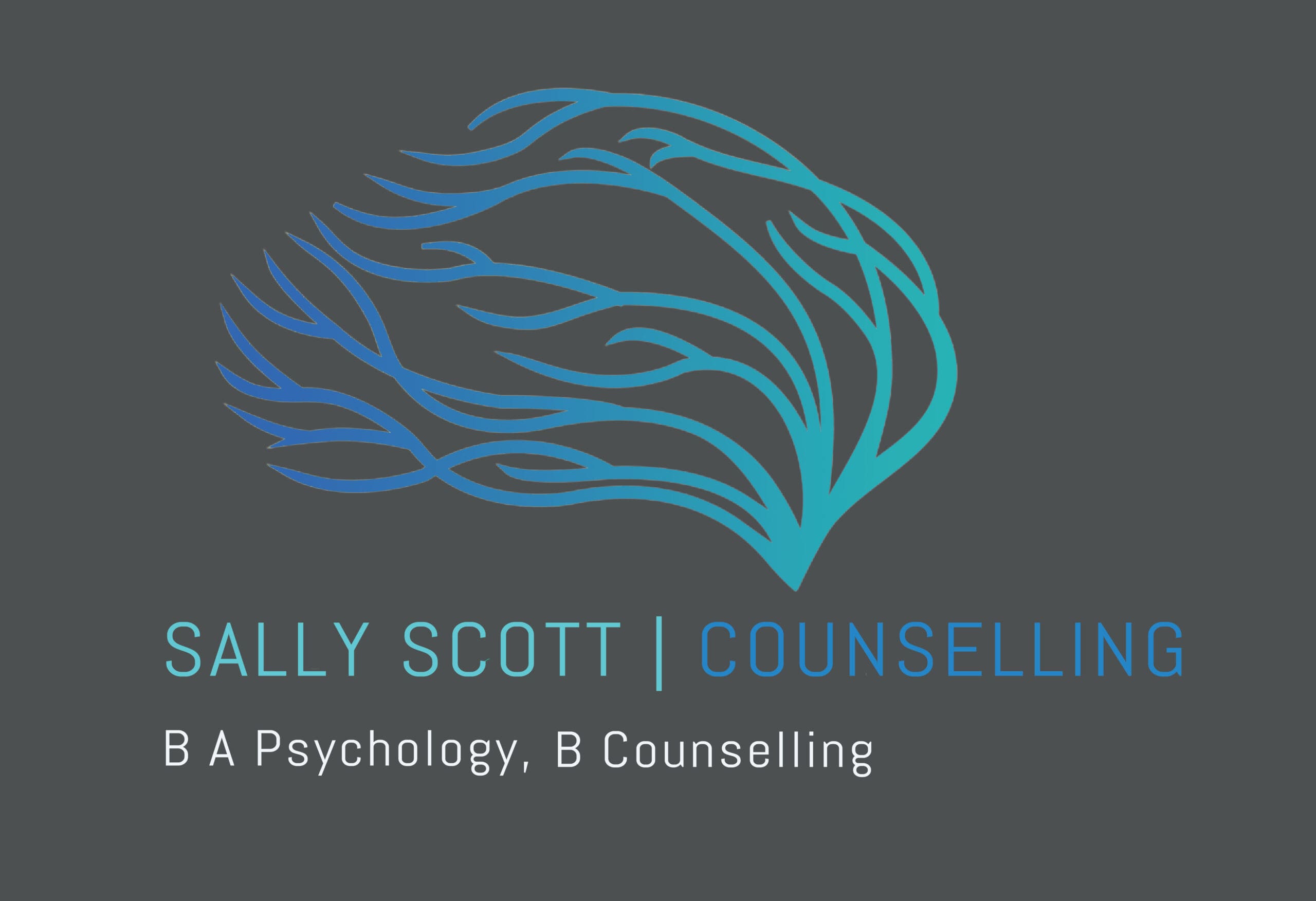 Sally Scott Counselling