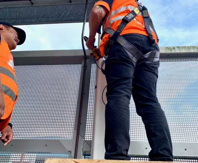 nz pest control team member finding insects