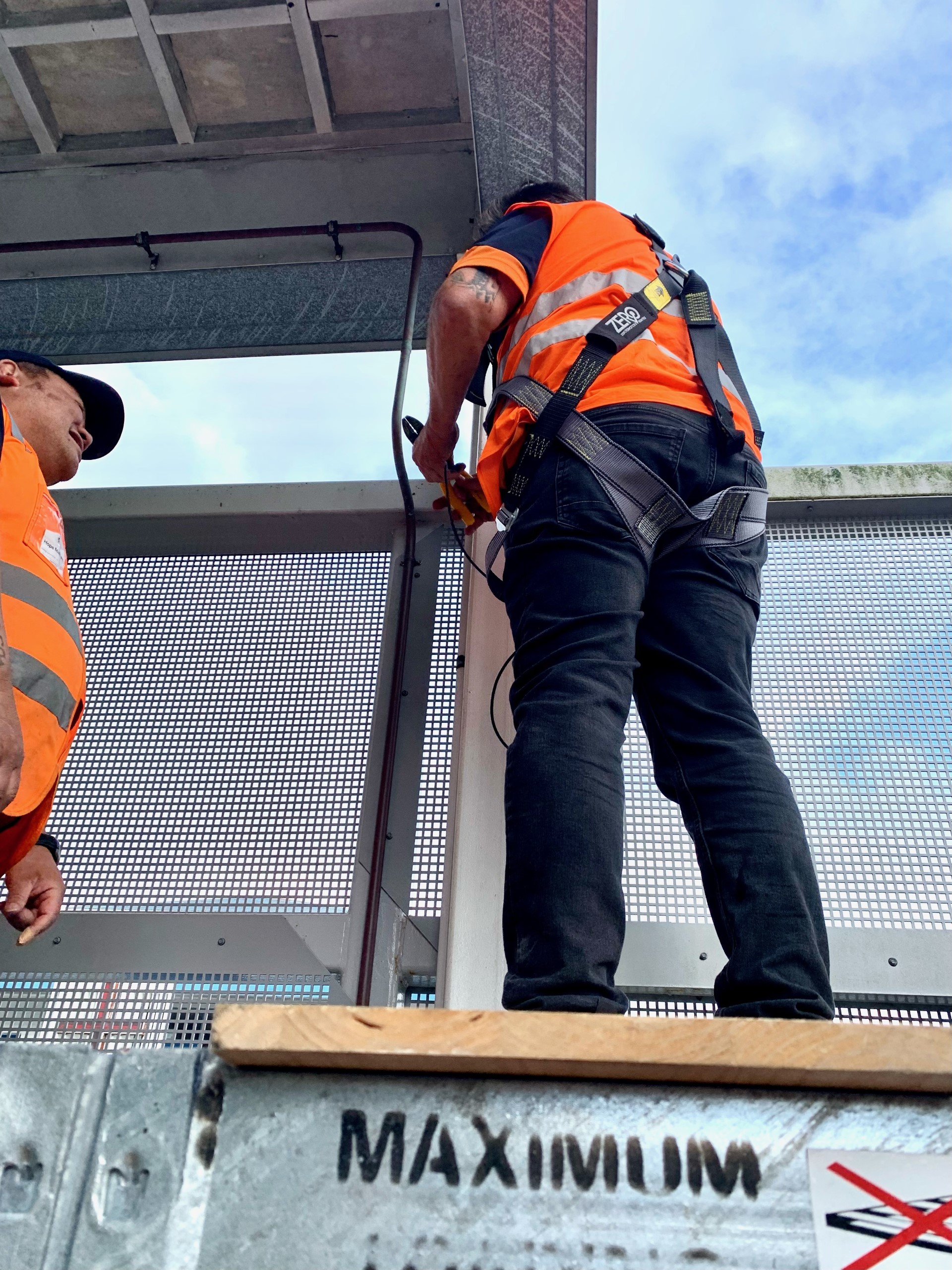 nz pest control team member finding insects
