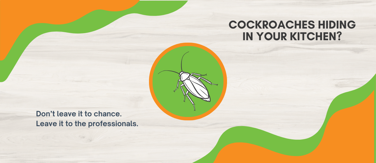 Get rid of cockroaches out of your home with the help of NZ Pest Control