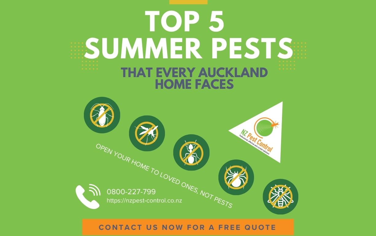Top 5 summer pests every auckland home faces