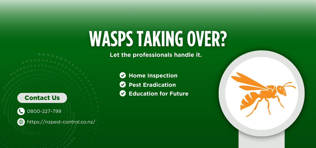 Call NZ Pest Control for your Auckland pest control needs.