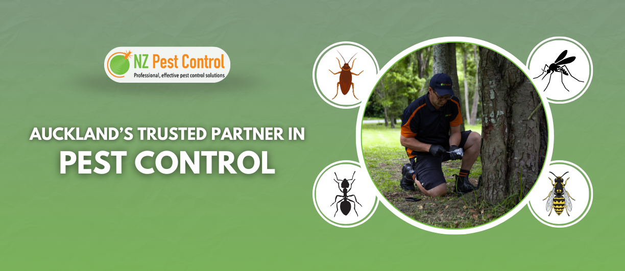 Auckland's trusted partner in pest control is NZ Pest Control