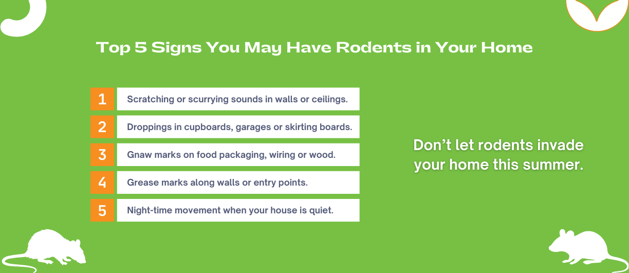 NZ Pest Control can help with all of your rodent treatment or extermination needs.