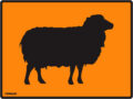 EGL 0804 Information - Sheep 3 Sign