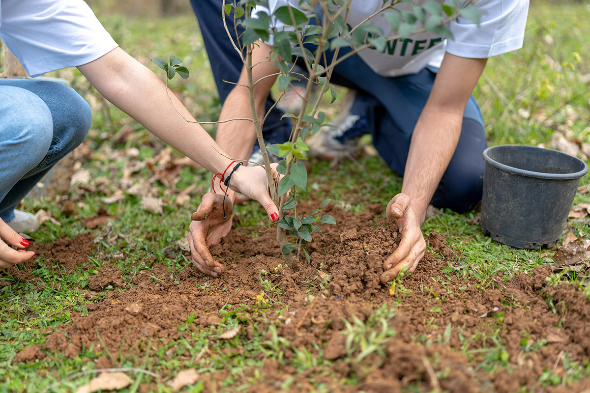 Tree planting – An essential initiative
