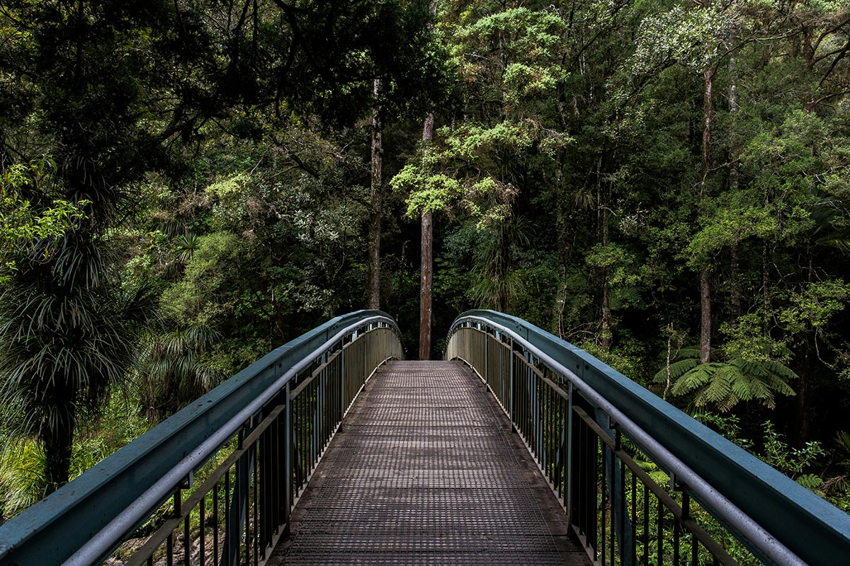 Revitalizing ecosystems