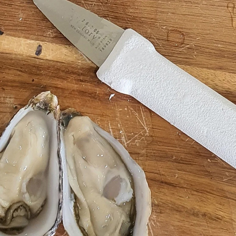 Pro Oyster Shucking Knife